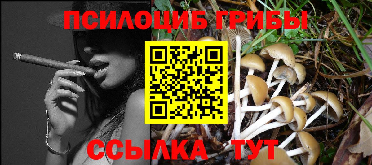Галлюциногенные грибы Magic Shrooms Шахты